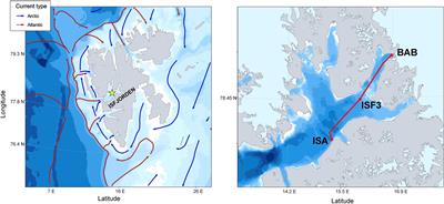 Spatial Patterns of Particles and Plankton in the Warming Arctic Fjord (Isfjorden, West Spitsbergen) in Seven Consecutive Mid-Summers (2013–2019)